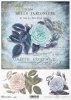 róża, róże, kwiat, pąk, liście, listki, ogród, retro, kartka pocztowa, stempel, retro, R987, rose, flower, bud, leaves, garden, retro, postcard, postmark, Rose, Blume, Knospe, Blätter, Garten, Retro, Postkarte, Poststempel, rosa, flor, capullo, hojas, jar